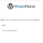 wordpress-6.png